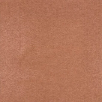 Tanned leather texture sample, reddish-brown with irregular grain, matte finish, consistent pores, identified as egoitaliano nuvole 5063.